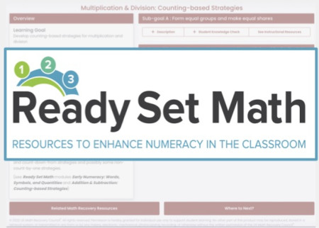 Multiplication & Division: Counting-based Strategies Electronic (RSM7)